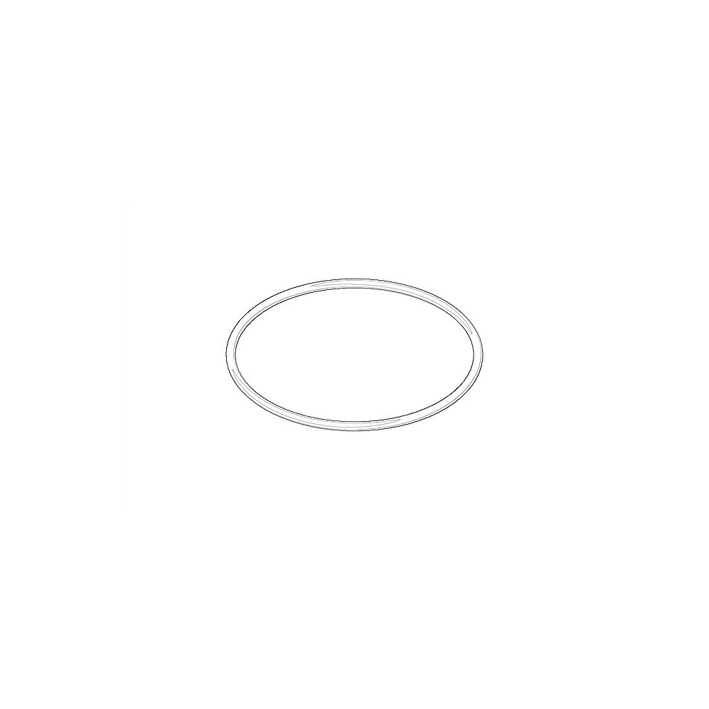 Dornbracht O-Ring 09141002390