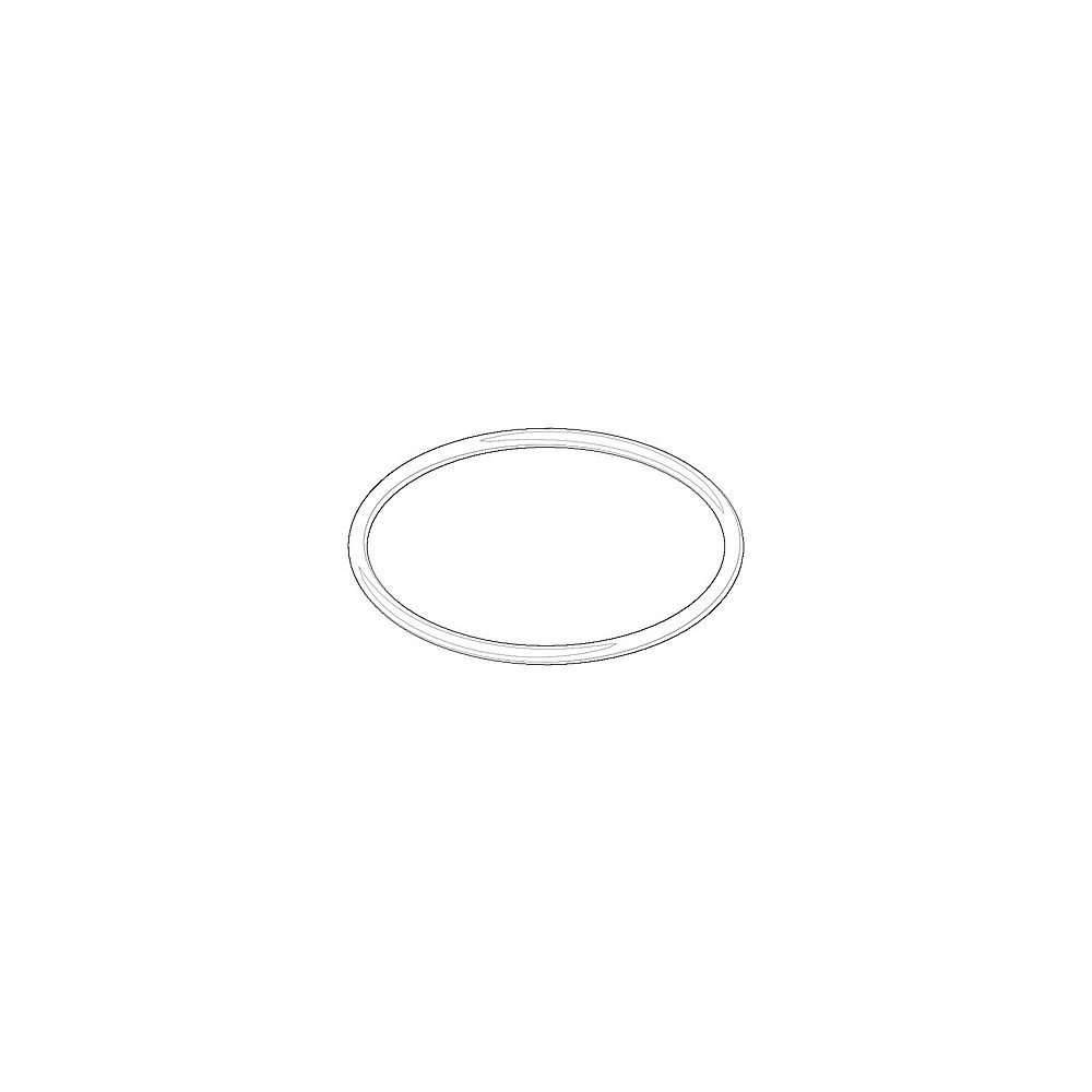 Dornbracht O-Ring 09141003490 EPDM 70 W