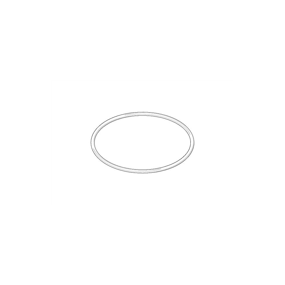 Dornbracht O-Ring 09141003790