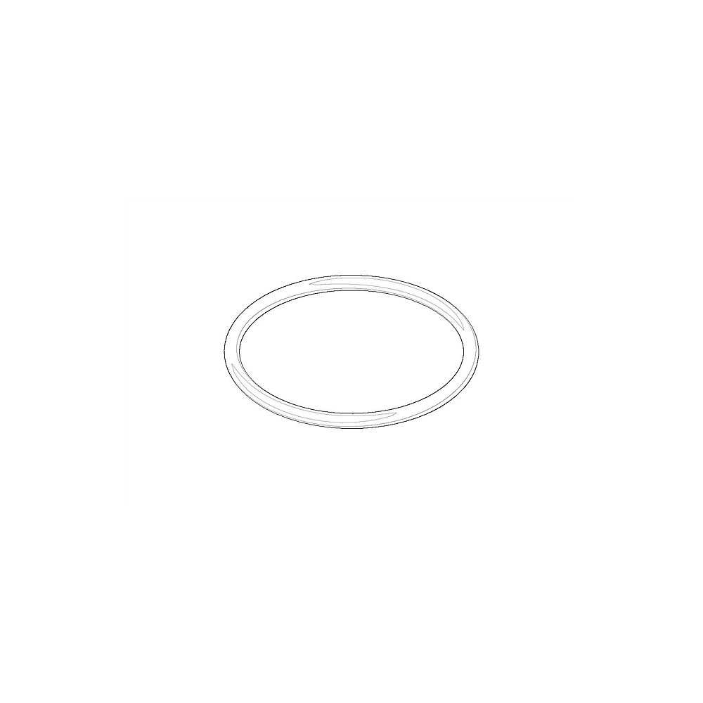 Dornbracht O-Ring 09141003890 EPDM 70 W