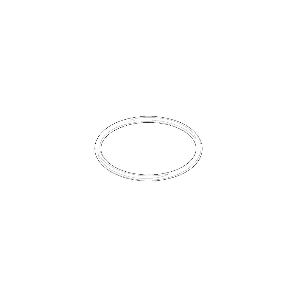 Dornbracht O-Ring 09141009190