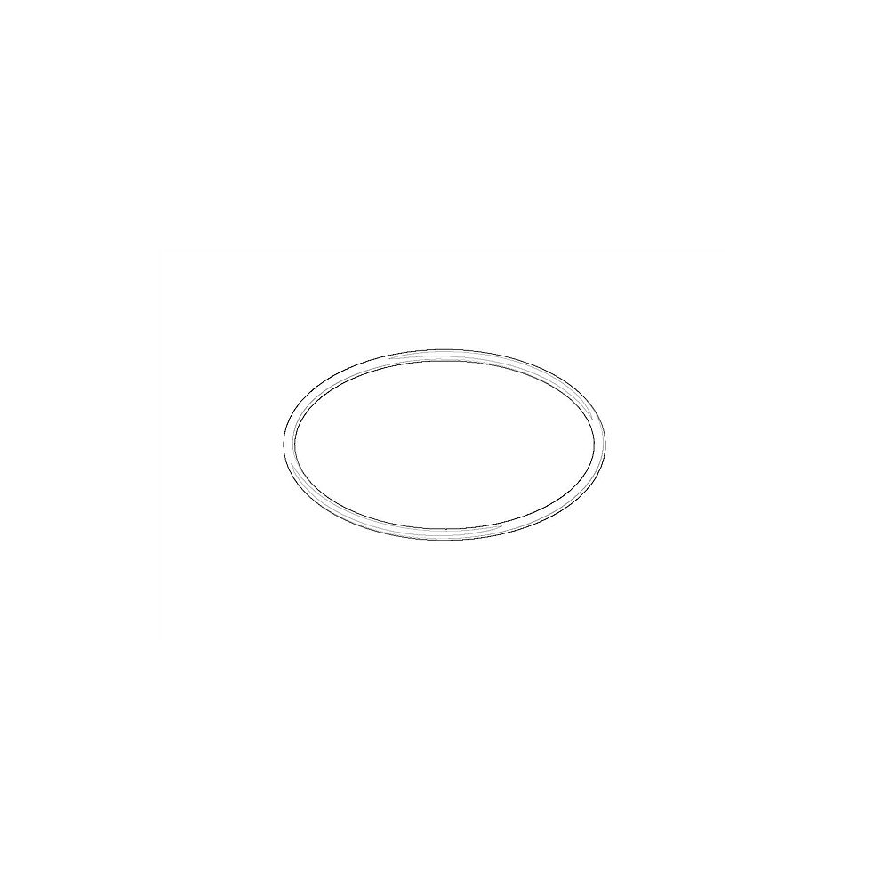 Dornbracht O-Ring 09141010790