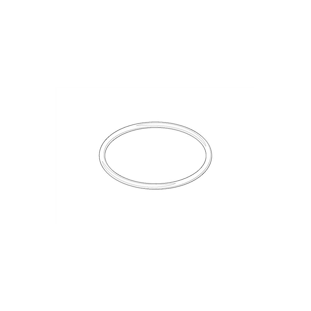Dornbracht O-Ring 09141011190