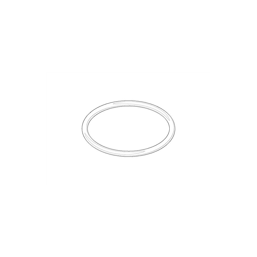 Dornbracht O-Ring 09141012990