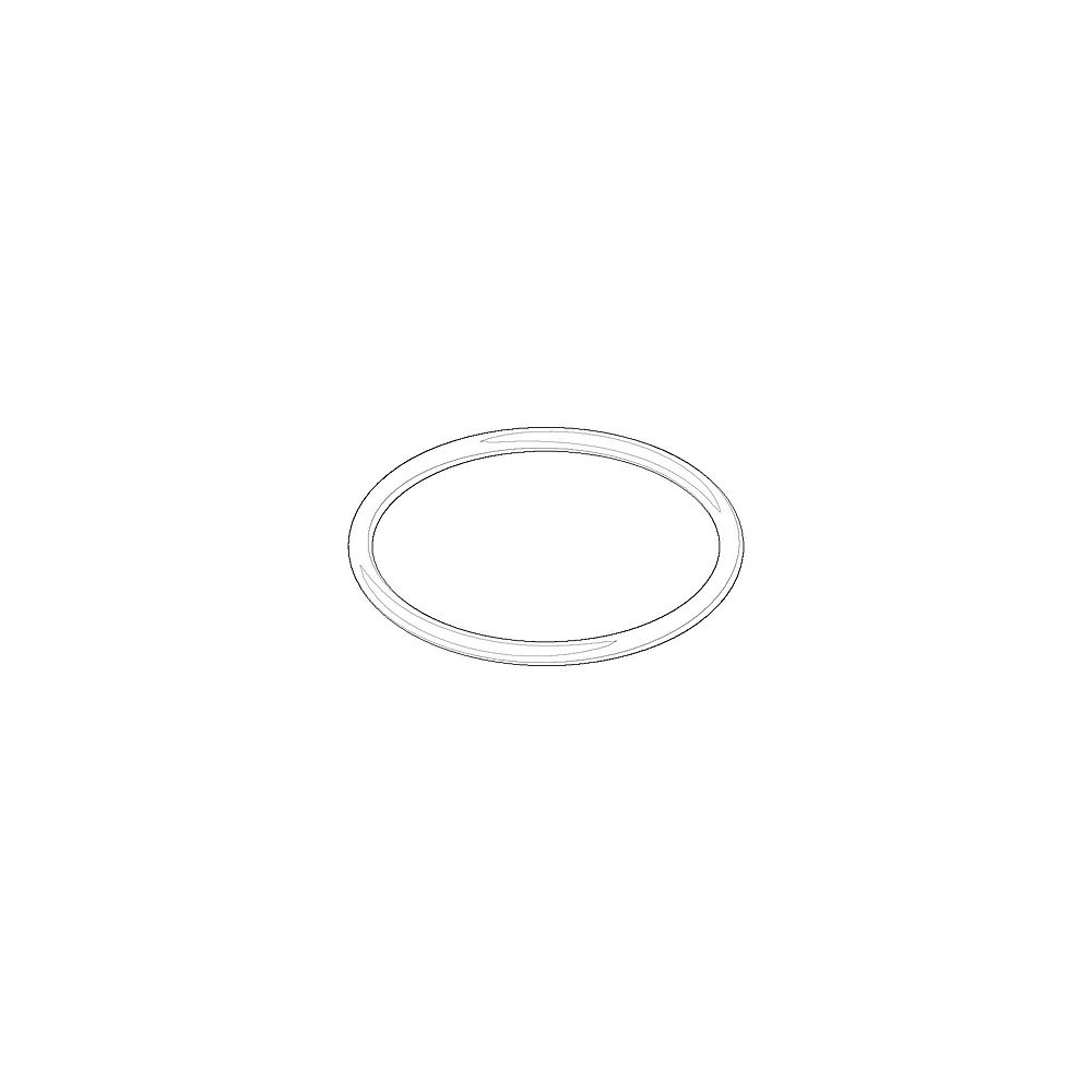 Dornbracht O-Ring 09141013790 EPDM 70 W
