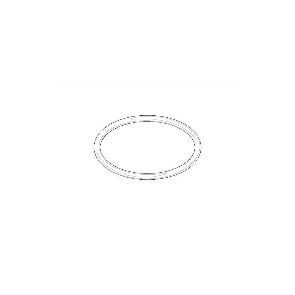 Dornbracht O-Ring 09141015090