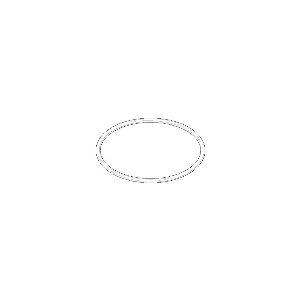 Dornbracht O-Ring 09141015190