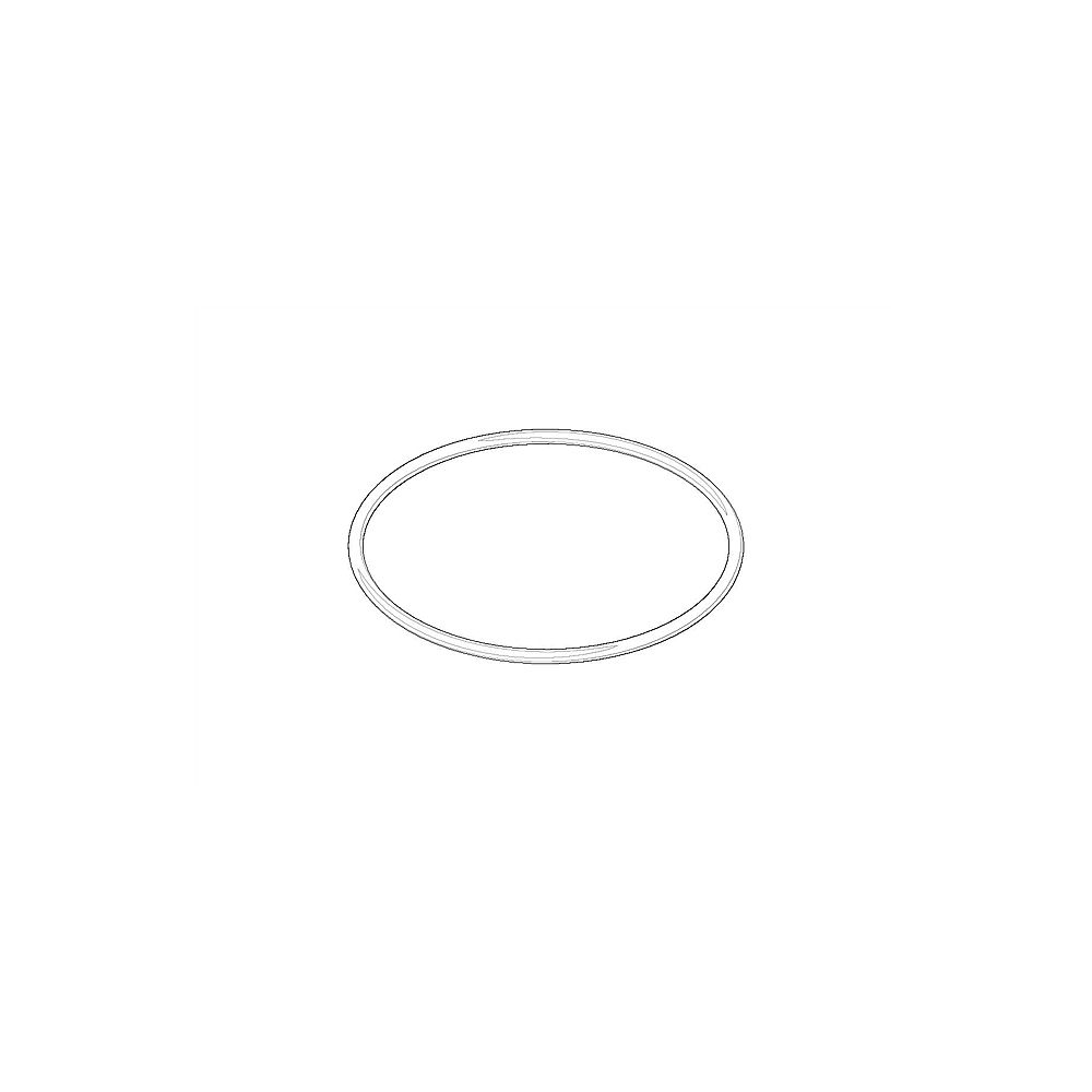 Dornbracht O-Ring 09141019090 EPDM 70 W
