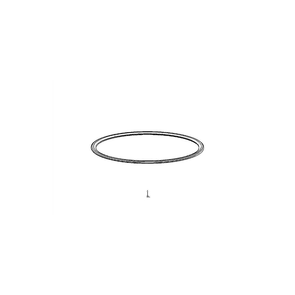Dornbracht O-Ring 09141019590 PBV