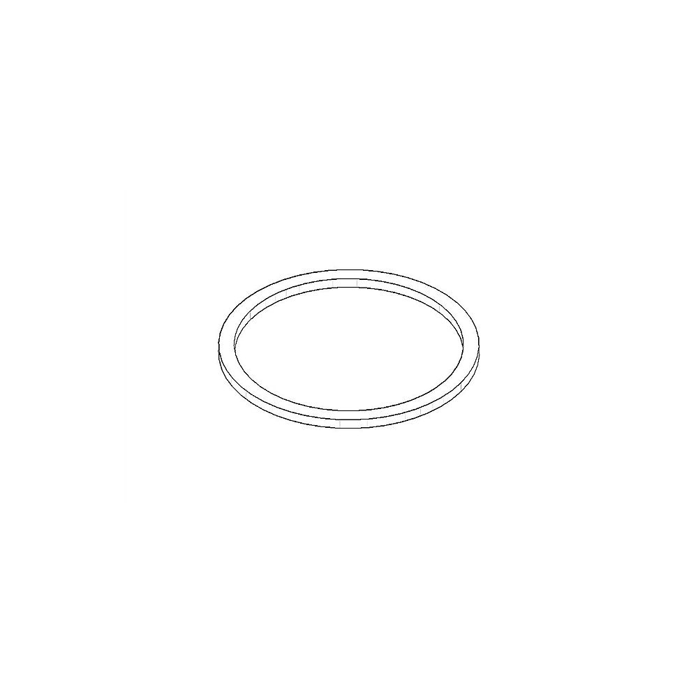 Dornbracht FI-Dichtung 09142000690