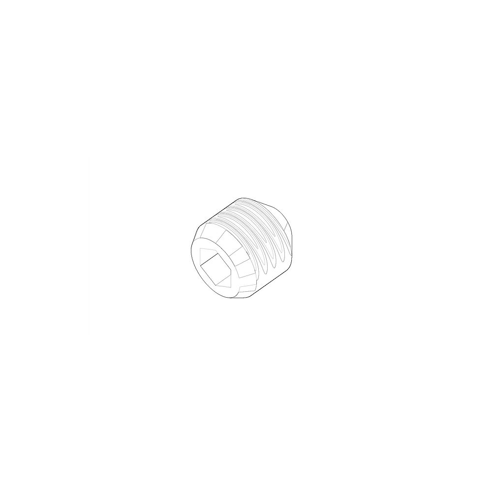 Dornbracht Gewindestift 09.31.11.030.90