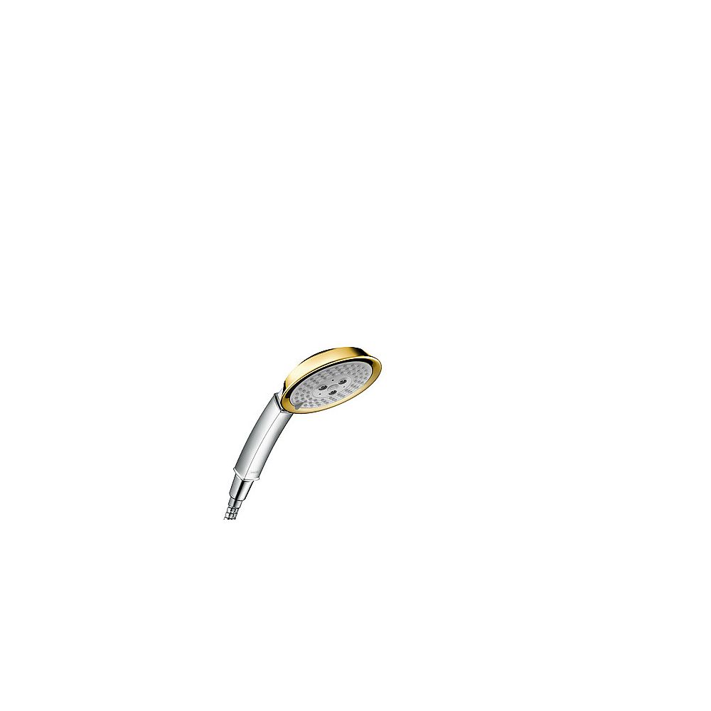 HG Handbrause Raindance Classic 100 Air